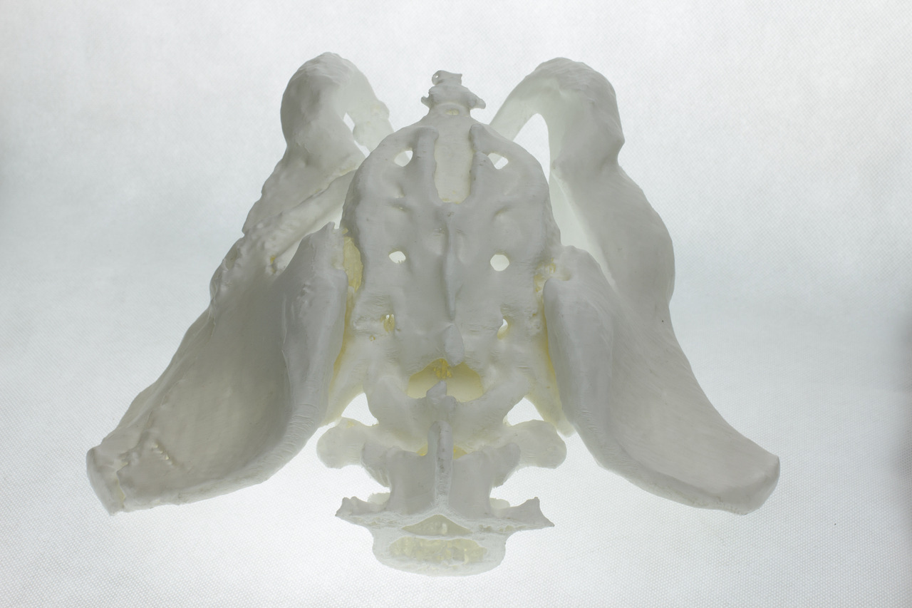 Polymaker PolyMax™ PLA|穩定成型線材 圖5